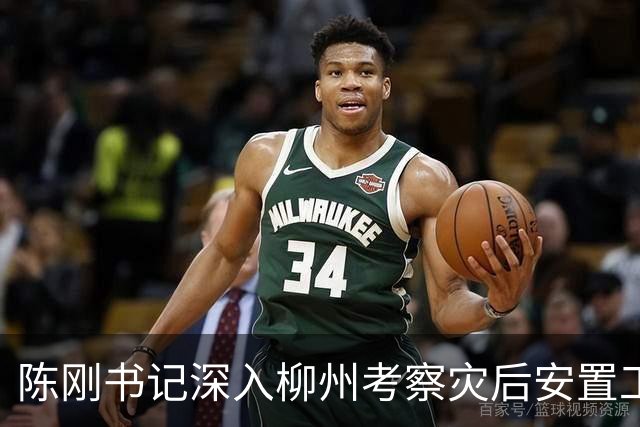 陈刚书记深入柳州考察灾后安置工作与产业发展